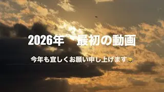 2026年最初の動画✨今年も宜しくお願い申し上げます🙇