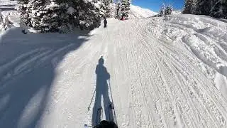 Snowbird Top to Bottom   STH & Black Forest