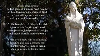 a solis ortus cardine (sung by paul rose @SingtheHours)