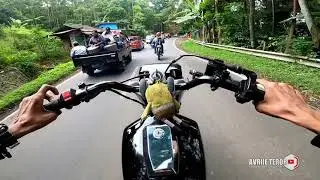 NGEKORIN BOCIL&sup2; MENTAL B4L4P SEMUA - PURE SOUND RX KING