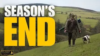 As The Uk Game Season Comes To An End | January Pheasants In Wales