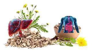 Dandelion Root Benefits | Cleanse Naturally  Liver Detox, Digestion & Gut Health Support