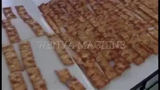 WENVA crisp cracker production line.