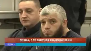 CELULA - 5 TË AKUZUAR PRANOJNË FAJIN