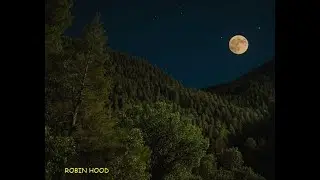 ROBIN HOOD#amor#love#universe#videos#history#shorts#loveyou#video#short#shortvideo#music#musica