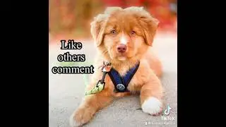Want to grow to 10K? Teamwork&hellip;Friends helping friends! Here&rsquo;s how&hellip;