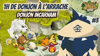 [Dofus Retro] DONJON INCARNAM (UNBOXING SHIGEKAX) : 1H DE DONJON &Agrave; L'ARRACHE #03