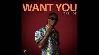 Oxlade - Want You [slowed + reverb]