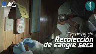 Técnica de Recolección de Sangre Seca