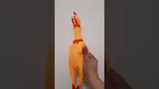 Fidget Toy Shrilling Chicken #sounds #trendingshorts