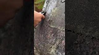 Scrape Scrape #graveyardcleaning #cemetery