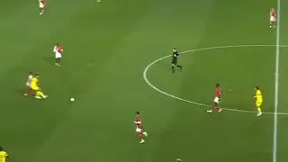 Denis Zakaria Skills