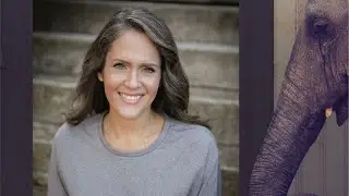 Elephant in the Room: Full Interview with Alisa Childers