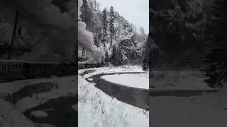Magical Steam Train Mocănița Through Snowy Maramures Romania! 🚂❄️ #maramures #shorts #snow #train