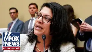 Rep. Tlaib slammed by House GOP over Holocaust comments