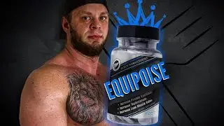 Hi Tech Equipoise: Extreme Hunger Makes Easy Gains