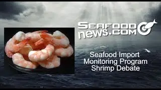 SIMP Shrimp Debate