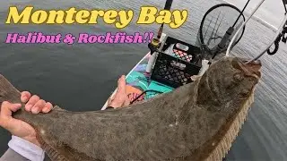 Paddle board fishing in Monterey with jigs and more!!