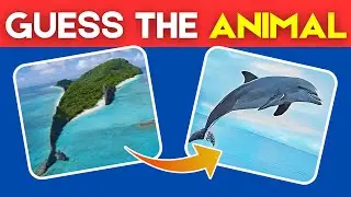 Guess the Hidden SEA Animals by closing your eyes 70% 🦌🌀🐵 |OPTICAL ILLUSION | |QuizzGlitz