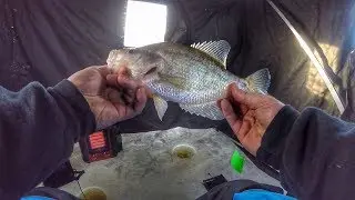 Early Ice Panfish 2018 | Crappie, Bluegill, and Perch