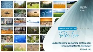 Understanding customer preferences: turning insights into investment