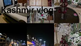 Kashmir vlog #kashmir #vlog #review #hoteldewansrinagar#viral #yt 