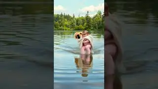 🐶 Hero Dog Saves Baby From Drowning 🌊  Real Life Rescue