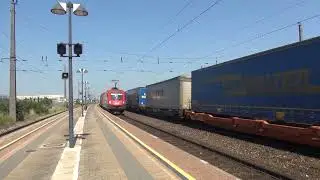 2021 - AT - TX Logistik (ELL) and &Ouml;BB 193 locos with container intermodal trains in Gramatneusiedl