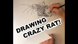 Crazy Rat Drawing Timelapse