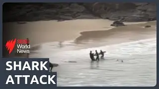 Teenager attacked by shark at Cabarita Beach