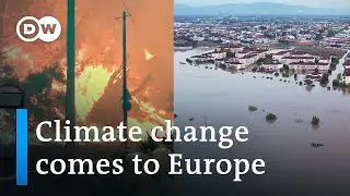 EU Parliament debates how to protect Europe from extreme weather | DW News