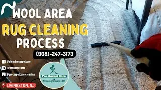 Wool area rug cleaning process | Livingston NJ