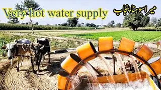 water supply old technology  real life Punjab|traditional off agriculture Pakistan pure life style