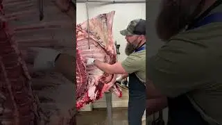 Want to know why we split the beef front quarter between the 5th and 6th rib?🔪  #shorts #beef