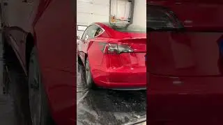 Tesla Model 3 Performance | Auto Detailing #shorts