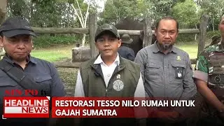 Restorasi Tesso Nilo Rumah Untuk Gajah Sumatra