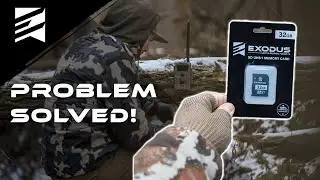 Why Some SD Cards Don't Work in Cell Cameras