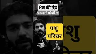 भैंस की पूँछ पकड़नी पड़ेगी 😂 ।Pashu Parichar Bharti 2023 | #shorts