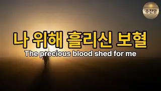 「나 위해 흘리신 보혈 — 은혜의 워십 | 이사야 53장 기반 #CCM #찬양 #워십 #예배 #라이브워십 #보혈 #나위해흘리신보혈 #이사야53장 #예배음악 #은혜찬양 #CCM추천