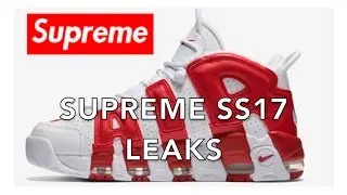 Every Supreme SS17 Leak.