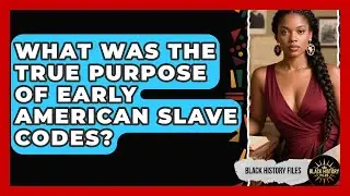 What Was The True Purpose Of Early American Slave Codes? - Black History Files
