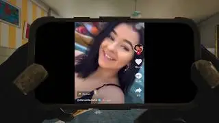 Warcrime koala gets swatted ft Danielle Cohn