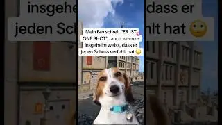 Er ist ONE SHOT Bro 😂🥇👻 #codmobile #codm #coddeutsch #callofdutymobile #callofdutyhighlights