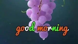 Dilip parjapati772vlogs is live! good morning friends welcome to live