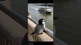 #puppy #cute The Little Penguin's Adventure : बाँसुरी पहाड़ी १८ द्वारा छोटी पेंगुइन का साहसिक कार्य