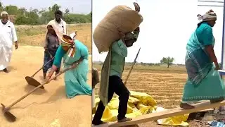MLA Sethakka Latest Video | MLA Seethakka Latest Visuals | Telangana News | Qubetv News