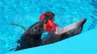 Crimea, Feodosia - July 12, 2024: Child wearing armbands interacting with dolphins in swimming pool