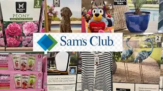 Sam’s Club * Things You SHOULD Be Buying at Sam's Club in January 2026