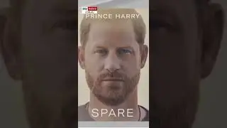 The title of Prince Harry's book 'Spare' 'says it all' #shorts