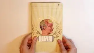 Project 52: Thoughts // 52. LIVE (short film)